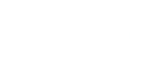 aees category logo